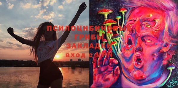 меф Дмитровск
