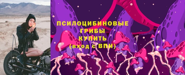 СК Дмитриев