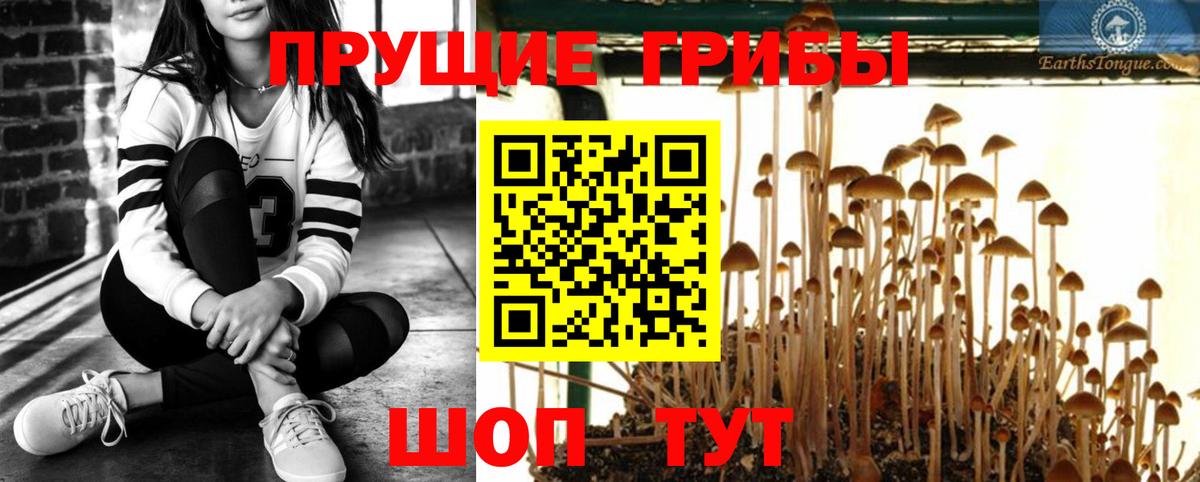 Псилоцибиновые грибы мухоморы  Псилоцибиновые грибы MAGIC MUSHROOMS  Вход с VPN  цена   Обь 